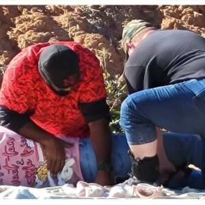 Pivotal Med: Lifesaver Weekend